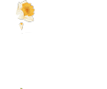 Dr.Duy Dentistry